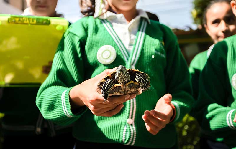 Contacto con la Naturaleza